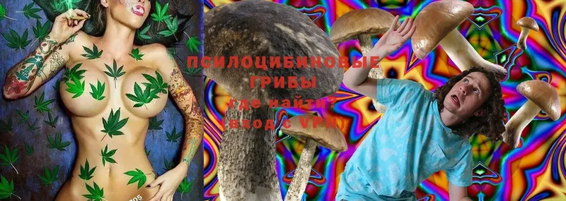 Псилоцибиновые грибы Magic Shrooms  Мичуринск 